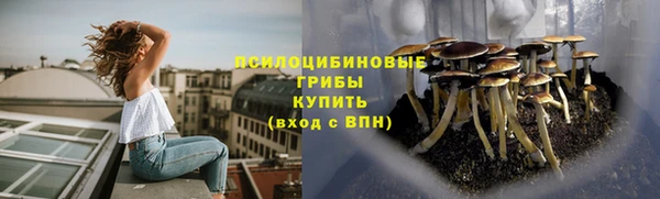 сатива Алексин