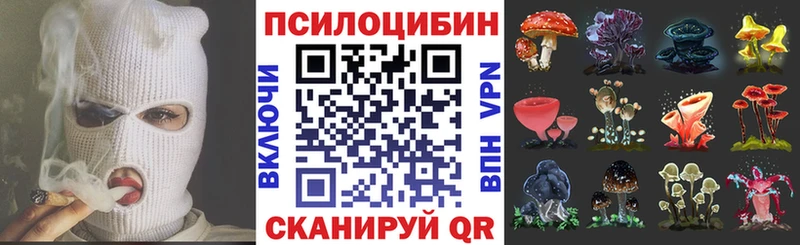Галлюциногенные грибы MAGIC MUSHROOMS  Сим 